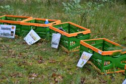 Was gehört wohin - Abfallparcour 5 - Foto: LK Prignitz