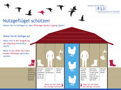 Grafik zum Schutz von Nutzgeflügel/ Friedrich-Löffler-Institut